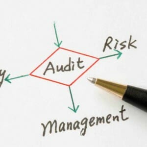 Introduction to Practical Auditing