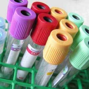 Annex 5 Manufacture of Immunological Veterinary Medicinal Products