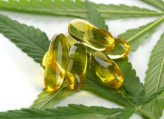 training-requirements-for-cannabis-industry-jobs-GACP-GMP