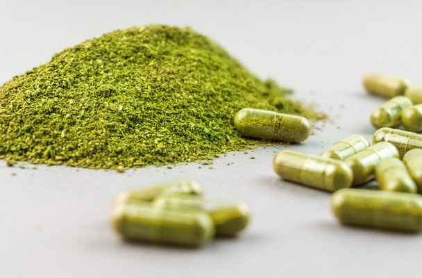 GMP herbal medicines GMP and safety regulations