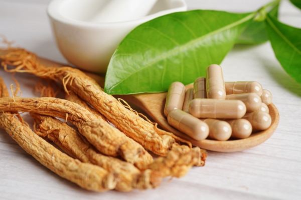 GMP for herbal medicines
