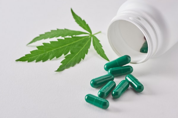 GMP for herbal medicines